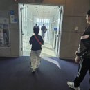 250513-15 도쿄 디즈니랜드, 도쿄 디즈니 씨 여행 후기