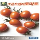 H0006 이미지