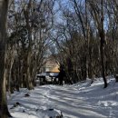 한라산식품 | 체력 거지의 1월 겨울 한라산 등반 후기(관음사 입산 - 성판악 하산)