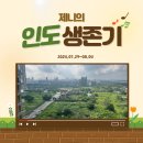 08.04) 제니의 인도 생존기/세기의 사랑씨 없는 자유 부인/인도 외노자 일상/한국 영화 탈출 후기