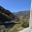 신촌지락 이미지