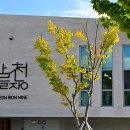 봉산 편백숲 공중화장실 | [울산 북구] 북구 편백산림욕장 - 전 견종 가능 · 맹견 입마개 · 목줄 착용 · 배변봉투 지참