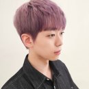 보라보라미용실