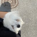 율무상점 이미지