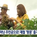 은행정농장 이미지