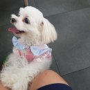 히나네일