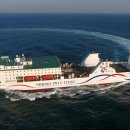 펫크루즈 이미지