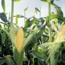 동대문한의원 이미지