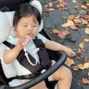 지니푸드 | 10개월 아기간식 이유식 1등 퍼기 티딩러스크 키즈마일 핑거푸드 후기