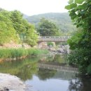 어비숲민박 이미지