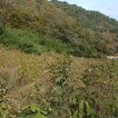 명당 태양광발전소 이미지