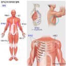 원퍼센트 피트니스 이미지