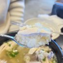 완벽 몸보신 가능! 국물이 찐~한 포승 삼계탕맛집 [경복궁삼계탕 평택포승점]