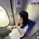 피에스와이 | 2024 과천 흠뻑쇼 취소 후기 ㅋㅋ
