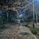 천보로 | 2025 기후행동 기회소득 후기: 하루 8천보로 5만 원 채운 경기도 걷기 앱테크