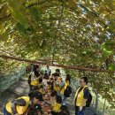 세인농장 이미지