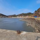 바다민박 이미지