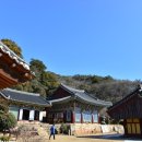 강진 바스락길 이미지