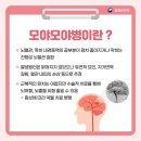 목포시보건소 | [목포시 보건소] 모야모야 병