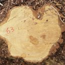 은평-063 이미지