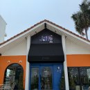 콘깬 이색 카페 추천, 강아지 고양이와 함께하는 Fluffypluscafe 후기