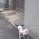 은해보조기 이미지