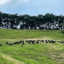 송조농원 이미지