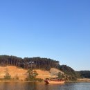 275카페 이미지