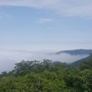 삼양여행사