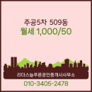 늘푸른공인중개사사무소 이미지