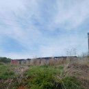 베델농장 이미지