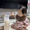 고수농장 | 아기 첫 쌀과자 찾다가 정착한 질마재농장 유기농 떡쌀과자 후기 🤍