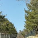 산너머그집 이미지