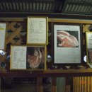 화우농장 이미지