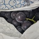 철이네청과 이미지