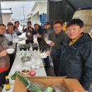 박사마을 이미지