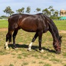 양양5일장 이미지