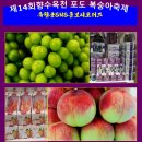 옥천생활체육관 네이버블로그