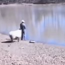 Sheep새끼 이미지
