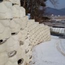 (주)유지건설
