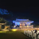 겔러리 카페 | 양산 스페이스나무 갤러리카페 전시 공연 후기