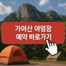 삼정자동차정비㈜ | 가야산 백운동 삼정 치인 야영장 예약 바로가기