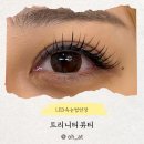 (주)디자인금정 | 지속력 높은 부산 금정구 트리니티뷰티 LED속눈썹연장