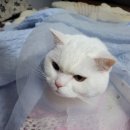 동물병원 누리에뜰 이미지