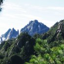 구름속의 산책 이미지