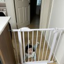 후기이유식, 9개월 아기 문센, 벨베이비 턱받이, 리락쿠마 스프링카, 잼먹 밥솥칸막이
