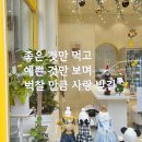 푸드포퍼피 | 동탄 애견 수제 간식 전문점 푸드포퍼피 - 동탄 강아지 케이크 만족 후기