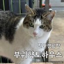 캠핑하우스 | 전주 근교 진안 캠핑장 부귀향토하우스 동계 캠핑 솔직후기!