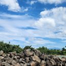 토지민박 이미지