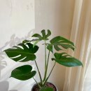 주식회사 생기의집 이미지